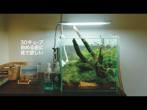 ADA 30cm キューブ水槽 セット