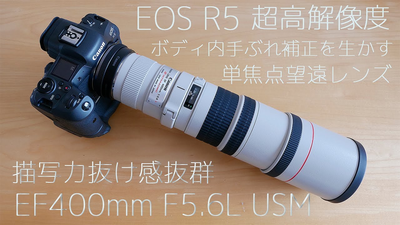 Canon EOS R5】高解像度とボディ内手ぶれを生かす描写力抜群単焦点望遠