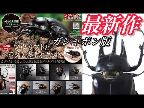 ちゃんねるカワランド】カワモト文明 - YouTube