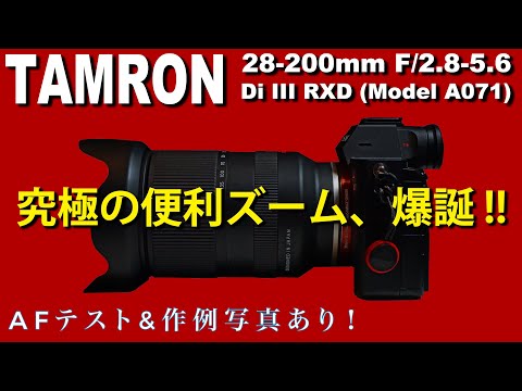 α1検証済｜Tamron 28-200mm F2.8 実写 家族旅行の失敗ゼロ α1