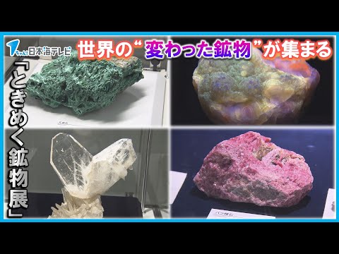 多彩な鉱物結晶コレクション 新商品のお知らせ】 – ネイチャー