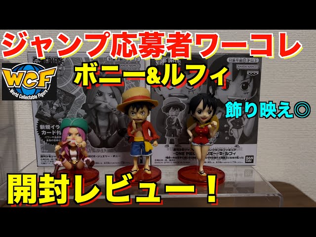 ワンピース ワーコレ 応募者全員サービス ルフィ 何かあった未来 新品