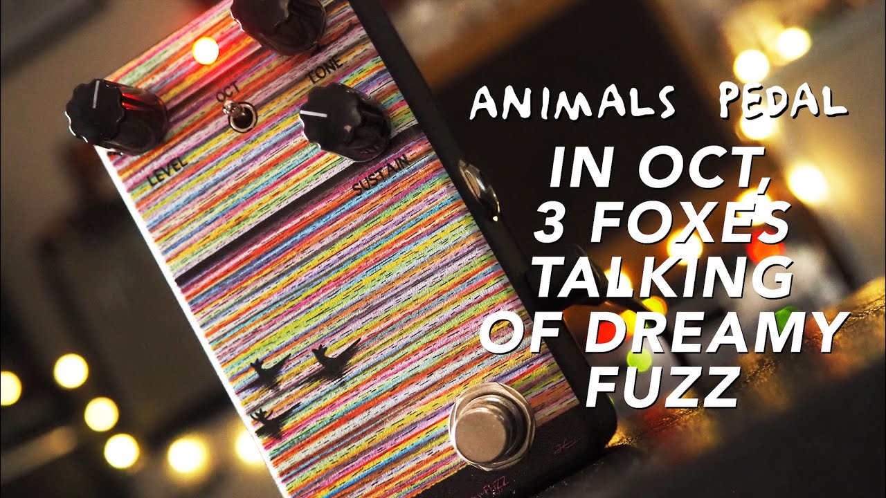 Animals Pedal // In Oct,3 Foxes Talking of Dreamy Fuzz (Demo
