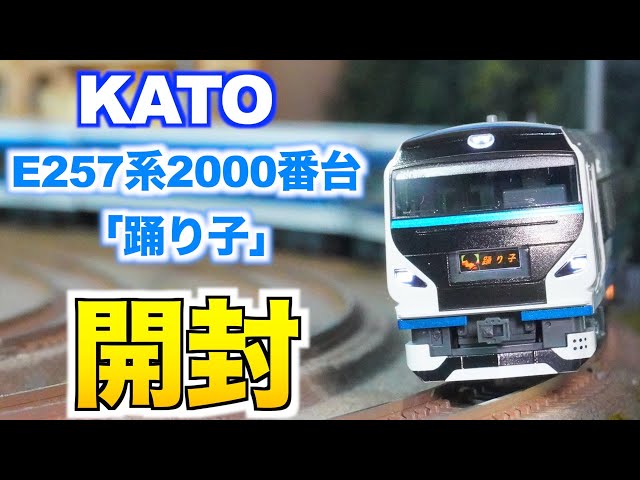 Something Happens!!] KATO E257 Series 2000 
