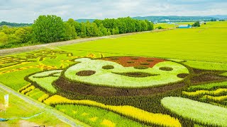 JAたいせつ HomePage