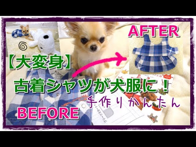 大変身🌟】古着シャツが犬服に🐶👗手作り簡単 (手縫いも可）本の平な