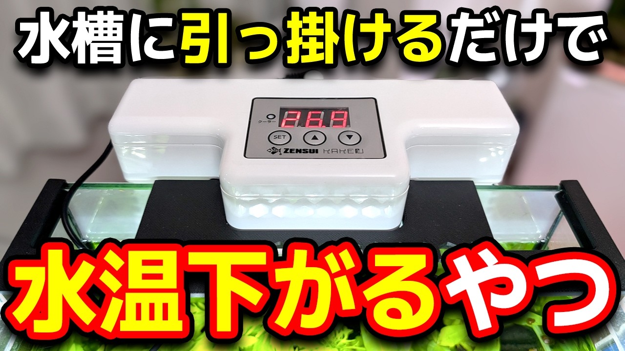 2024 Latest Product] The ultimate cooler for small aquariums? A