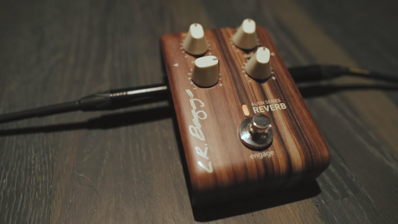 LR Baggs | Align Series Reverb Pedal - YouTube