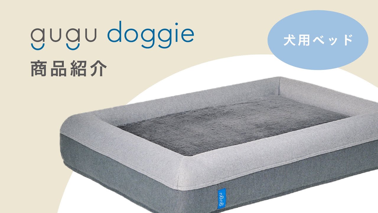 guguドギー | 紹介動画 - YouTube