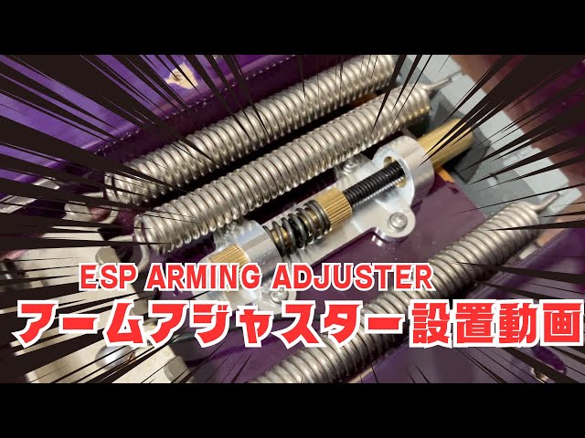 フロイトローズタイプ FERNANDES アクティブ回路 アーム付 新品弦張替