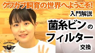 月夜野きのこ園クワガタ菌床販売部 / Pクリアボトル1400