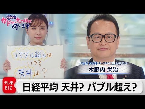 2025年 晴れた日に永遠が見える若返る日本 暦年展望資料 大和証券