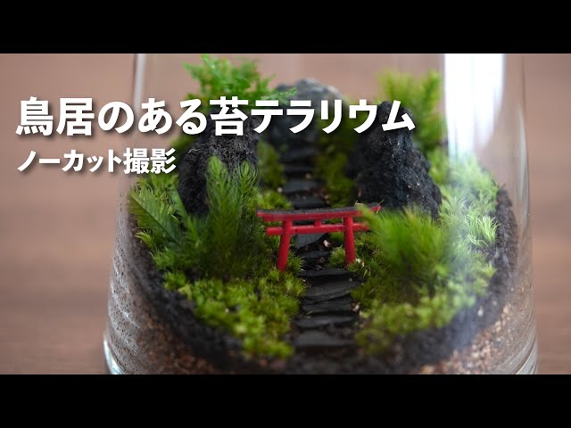 Moss Terrarium with a Torii Gate - YouTube