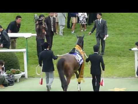 ジェンティルドンナ号 牝馬三冠達成【2012年秋華賞】 - YouTube
