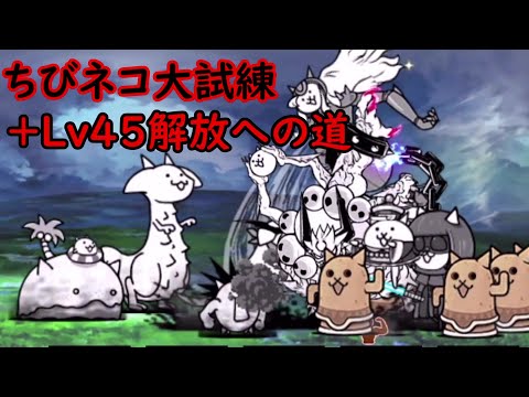 682 ちびネコ大試練：＋Lv45解放への道 気付いたらパーフェクトがか