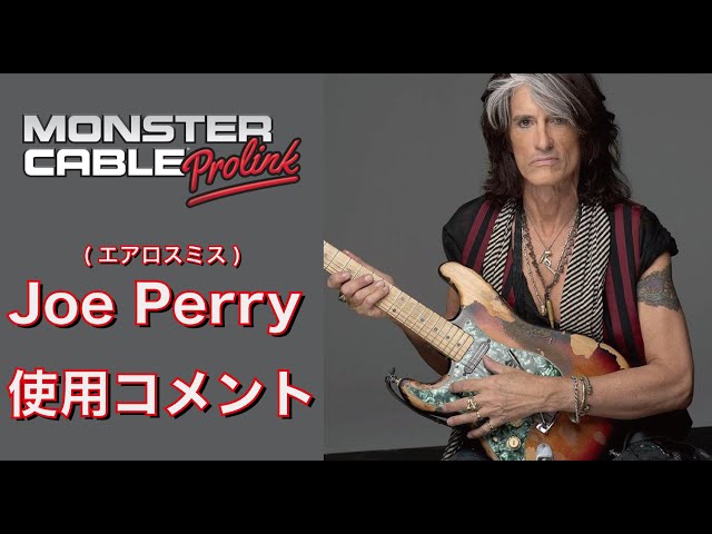 Aerosmith エアロスミス Joe Perry 1994年 ギターピック Aerosmith