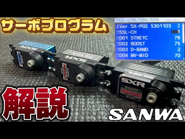 SANWA サンワ PGS-CXII プログラマブルサーボ ラスト1個です SANWA