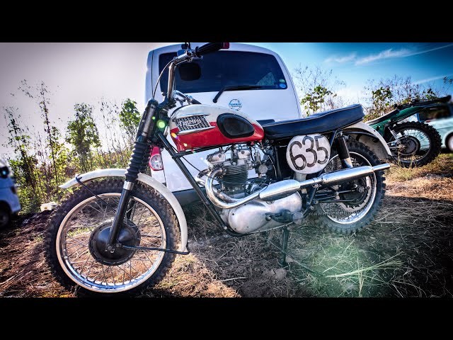 TRIUMPH TR・TR 2to 6・トライアンフ 今はなき英国コーチビルダー