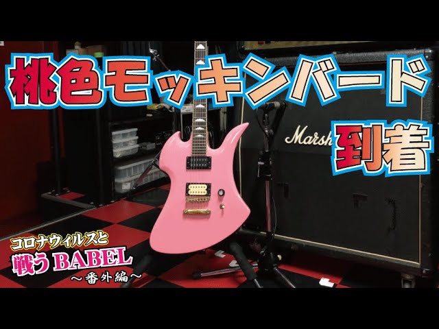 34】ヤフオクで落札した、0円ギター B.C.Rich?いいえ、Tony Smithです