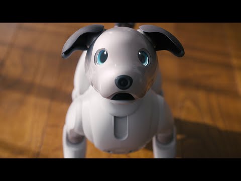 aibo キャラメル くまさん専用 aibo キャラメル エディション | aibo