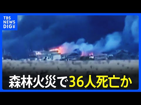 一番メインのところがすべて燃えてしまった」ハワイ州・マウイ島で森林