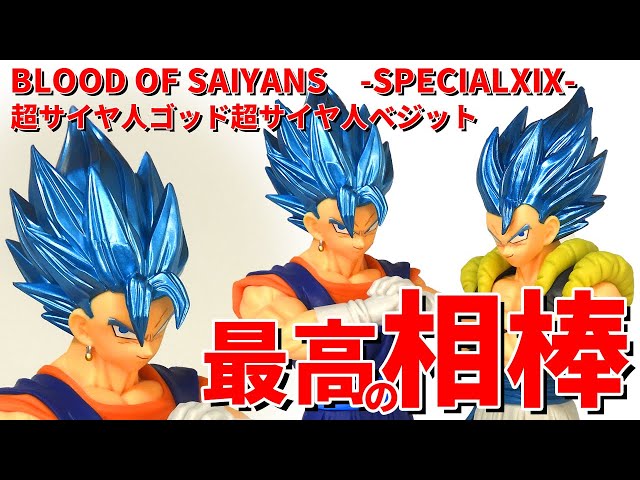 High Quality] BLOOD OF SAIYANS Super Saiyan God Super Saiyan