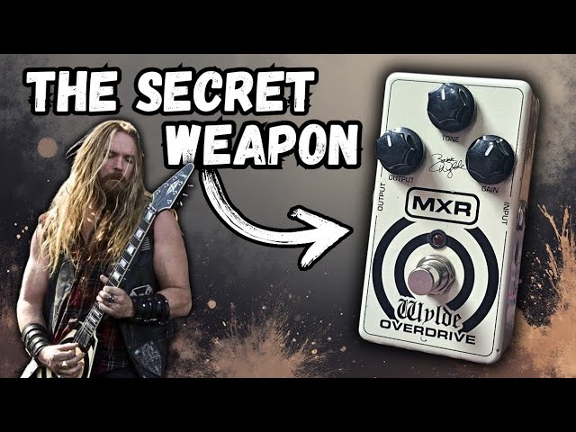 Review BERZERKER OVERDRIVE MXR | Zakk Wylde Signature - YouTube