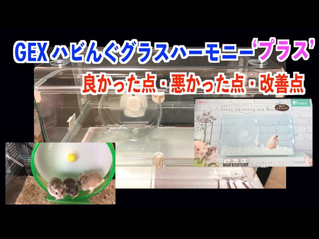 ハムスター】GEXハビんぐグラスハーモニー450「プラス」を4台購入