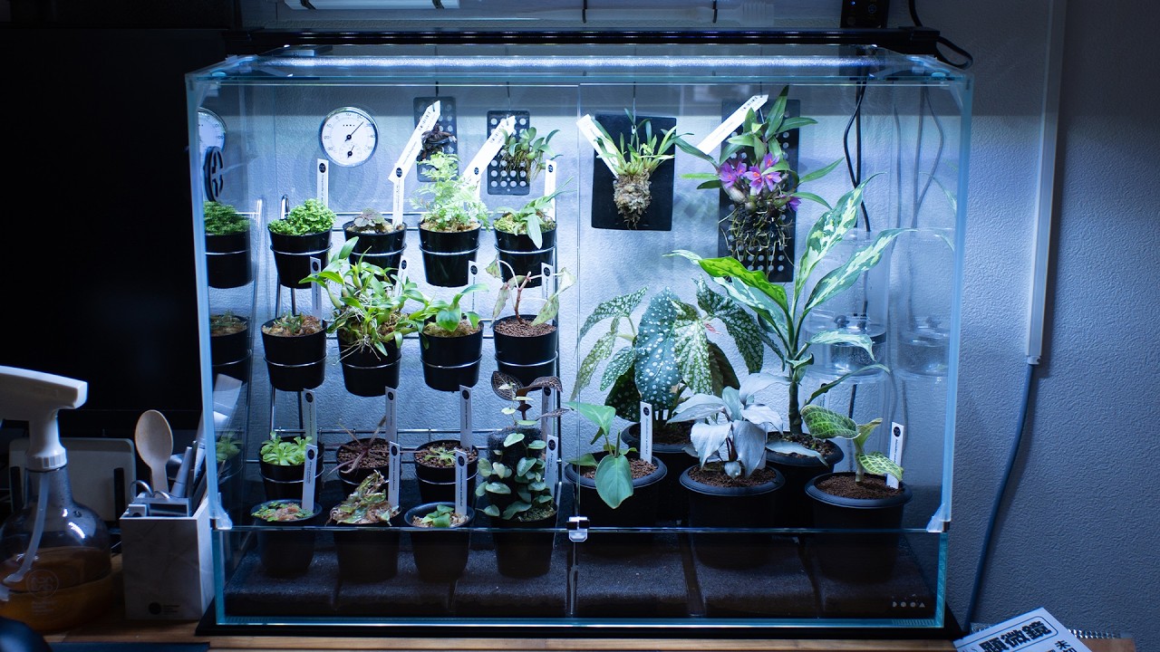 We've found a replacement for DOOA's discontinued 