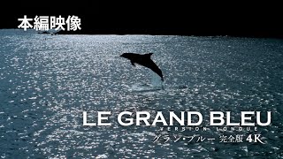 映画『グラン・ブルー 完全版 4K』【本編映像】夜の海辺でイルカと