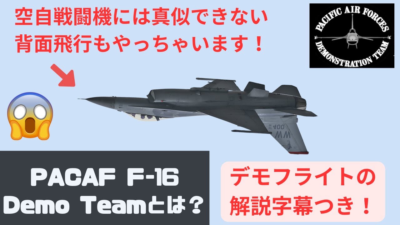 子供用 フライトスーツ PACIFIC F-16 DEMO TEAM 子供用 フライトスーツ