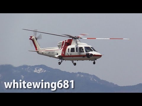 JAL 日本航空 DC-8 JA8001 富士号 Y型ストリンガー 超入手困難！【JAL】DC8