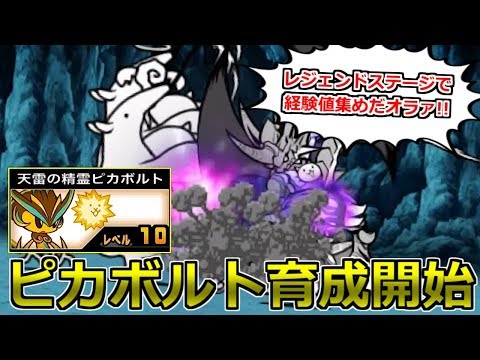 Start training Pikavolt to conquer the Space Chapter! Collect