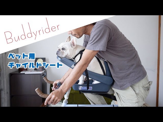 Recommended items for dogs and bicycles: The pros and cons of