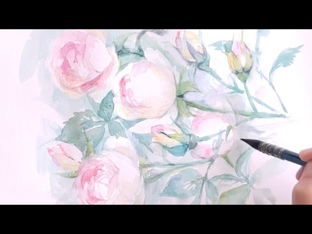 水彩画]初夏のバラの花を透明水彩で描く/watercolor/5月の花/ピエール