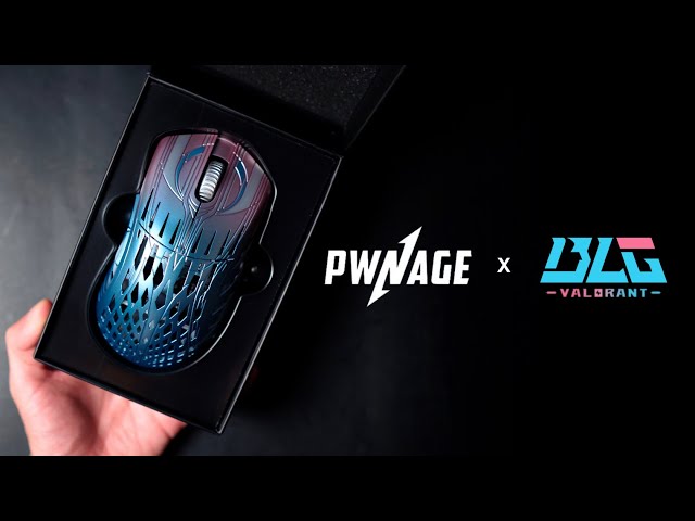 1 OF 4888 IN THE WORLD - Pwnage X BLG StormBreaker | Before You
