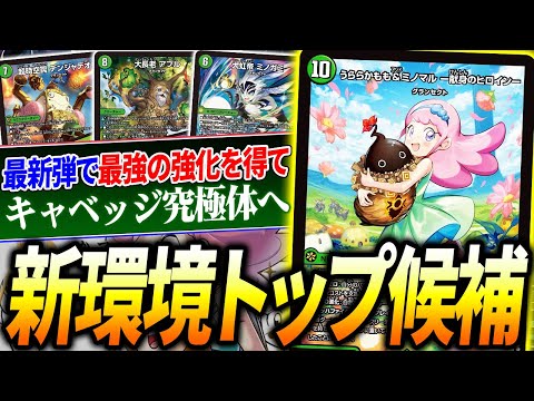 ヒロインBEST うららかもも グランセクト4コン80枚セット うららかもも