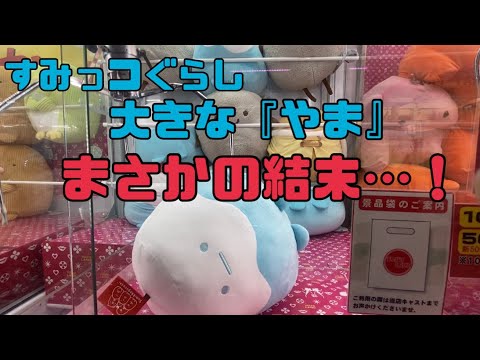 すみっコぐらし やま ぬいぐるみ5体セット すみっコぐらし】大人気の