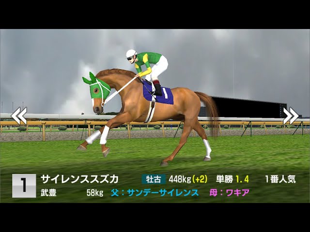 期限切れ単勝馬券】 第118回 天皇賞（秋） サイレンススズカ ウマ娘