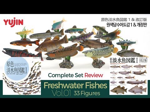 33 Various Freshwater Fishes / 原色淡水魚図鑑 I & 改訂版 / 유진