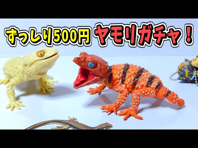 リアルすぎるヤモリフィギュアをゲット！1/1 オニタマオヤモリ