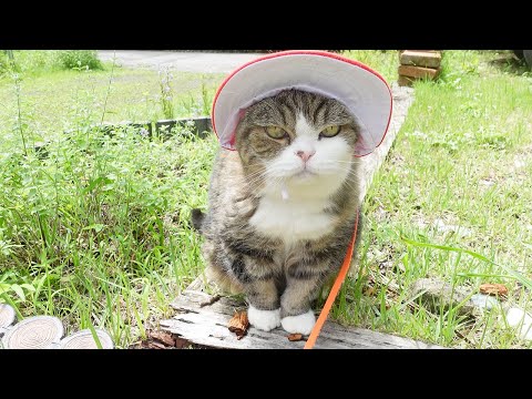 まるさん専用 まるさま 専用① maru!さん専用 maruさん専用 レビュー