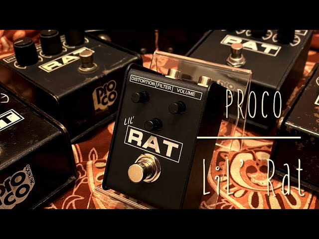 ProCo LIL' RAT - YouTube