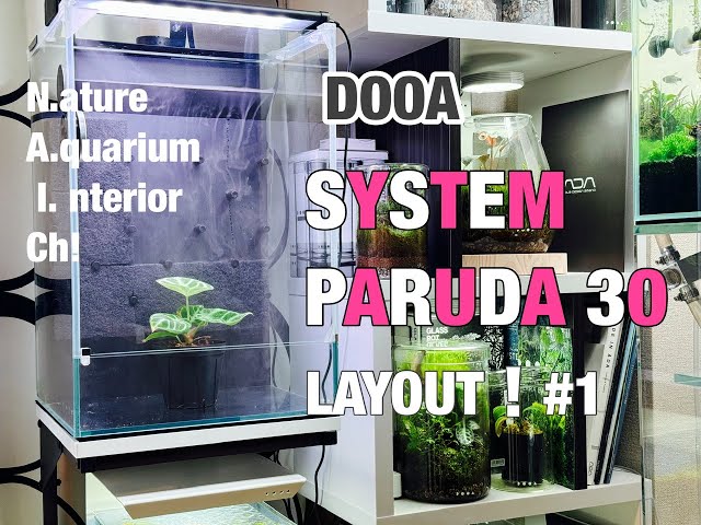 システムパルダ30 レイアウト編＃1 - YouTube