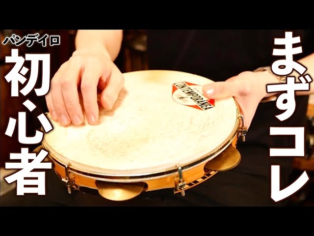 パンデイロ 楽器」の人気商品一覧 | 安い商品を通販サイトから探す