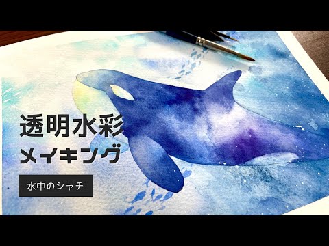 水中のシャチを透明水彩で描く｜メイキング｜Painting Orca underwater