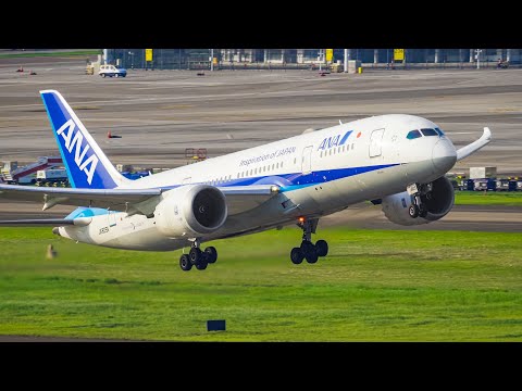 ANA NH966 Shenzhen-Tokyo Haneda Boeing 787-8 Dreamliner New flight