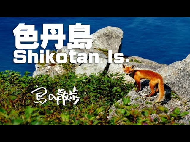 激レア・新品・匿名配送】北方領土 択捉島 国後島 色丹島 交通カード