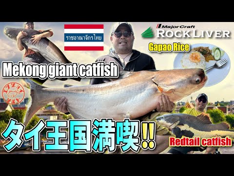 エンジョイソルト - YouTube