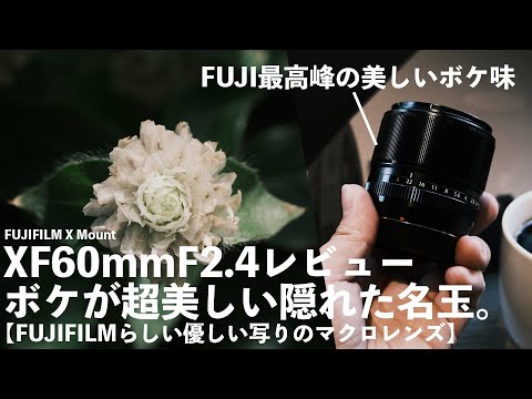 XF60mmF2.4 Macro Review! A hidden gem with beautiful bokeh! [A